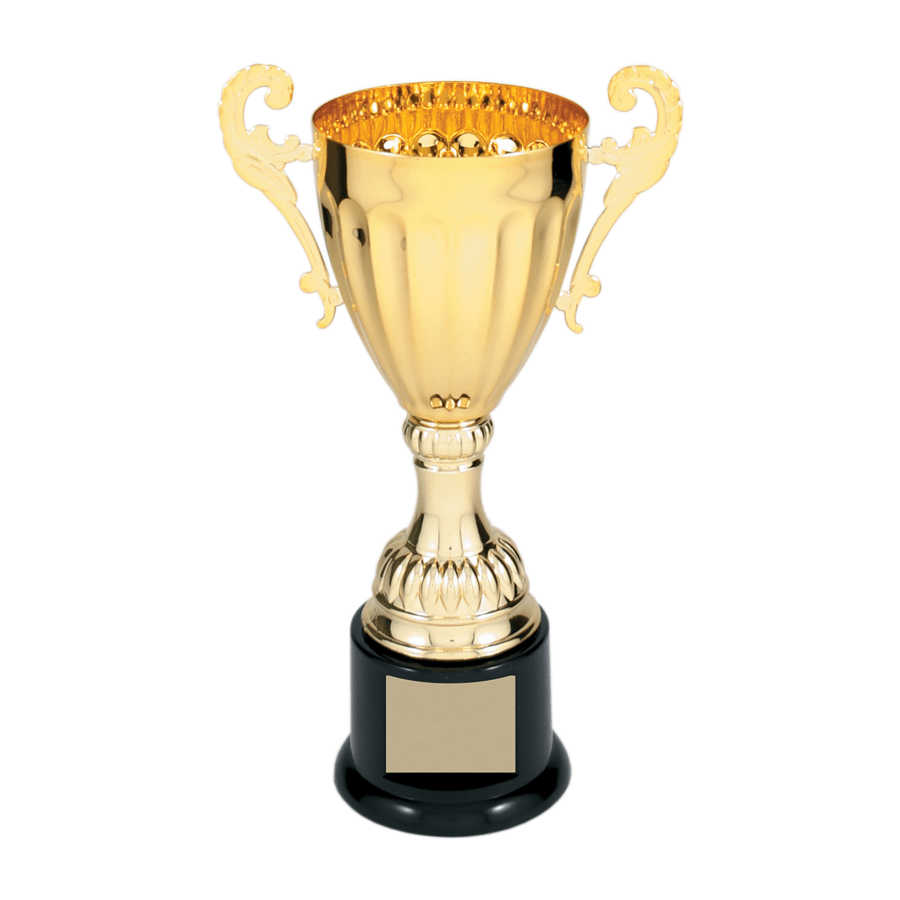 Custom Cup Trophies and Engraved Metal Awards - Laser Traditions Engraving & Gift