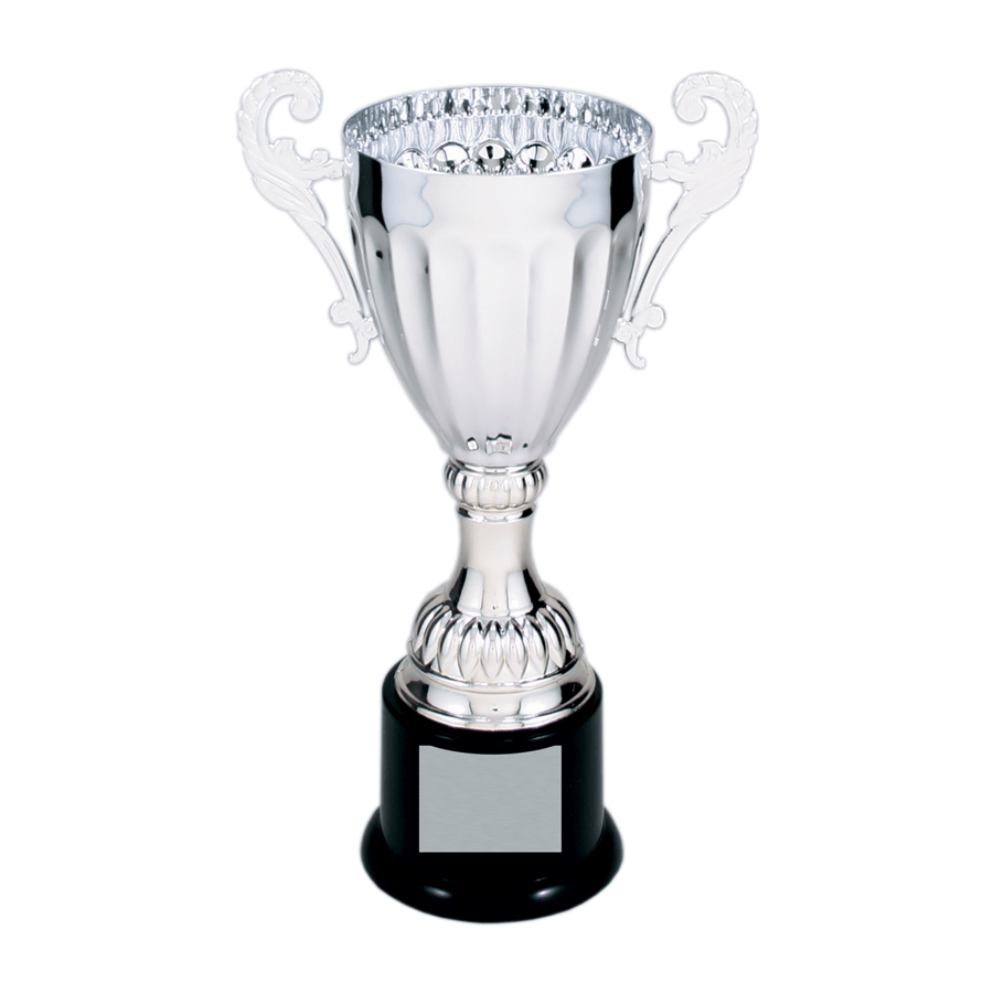 Custom Cup Trophies and Engraved Metal Awards - Laser Traditions Engraving & Gift