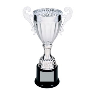 Custom Cup Trophies and Engraved Metal Awards - Laser Traditions Engraving & Gift