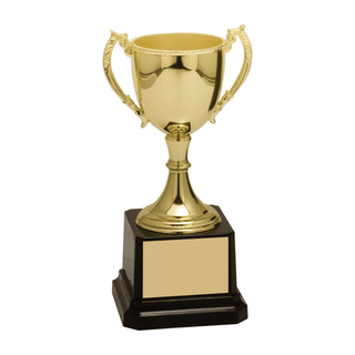 Custom Cup Trophy for Sports, Academics, and More - Laser Traditions Engraving & Gift