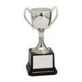 Custom Cup Trophy for Sports, Academics, and More - Laser Traditions Engraving & Gift