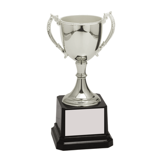 Custom Cup Trophy for Sports, Academics, and More - Laser Traditions Engraving & Gift